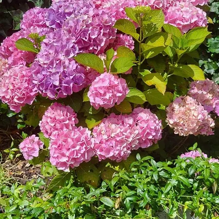 Santvort Luxury With Private Parking Apartment