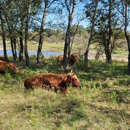 Santvort Luxury With Private Parking *