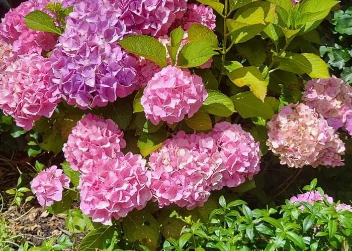 Santvort Luxury With Private Parking Apartment