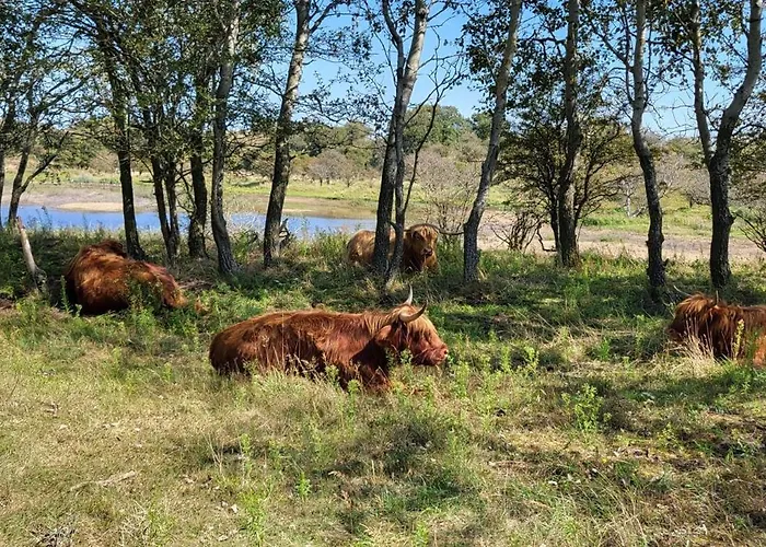 Santvort Luxury With Private Parking *